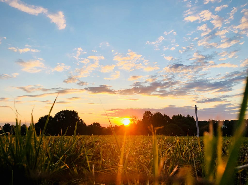 morning sunrise