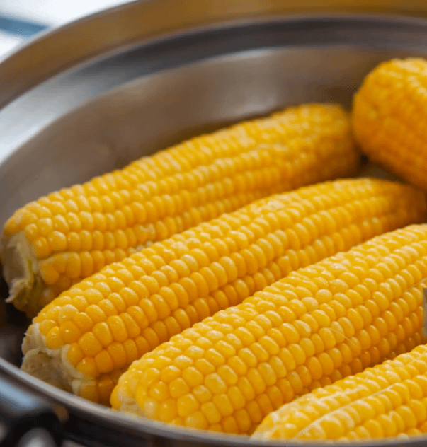 steamed corn3