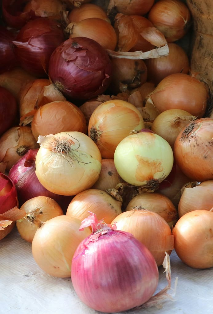 a bunch of onions