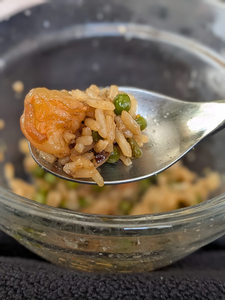 spoon of shrimp fried rice