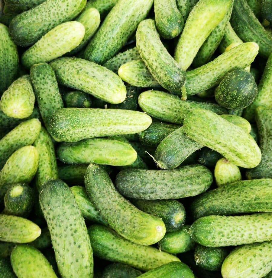 pickles