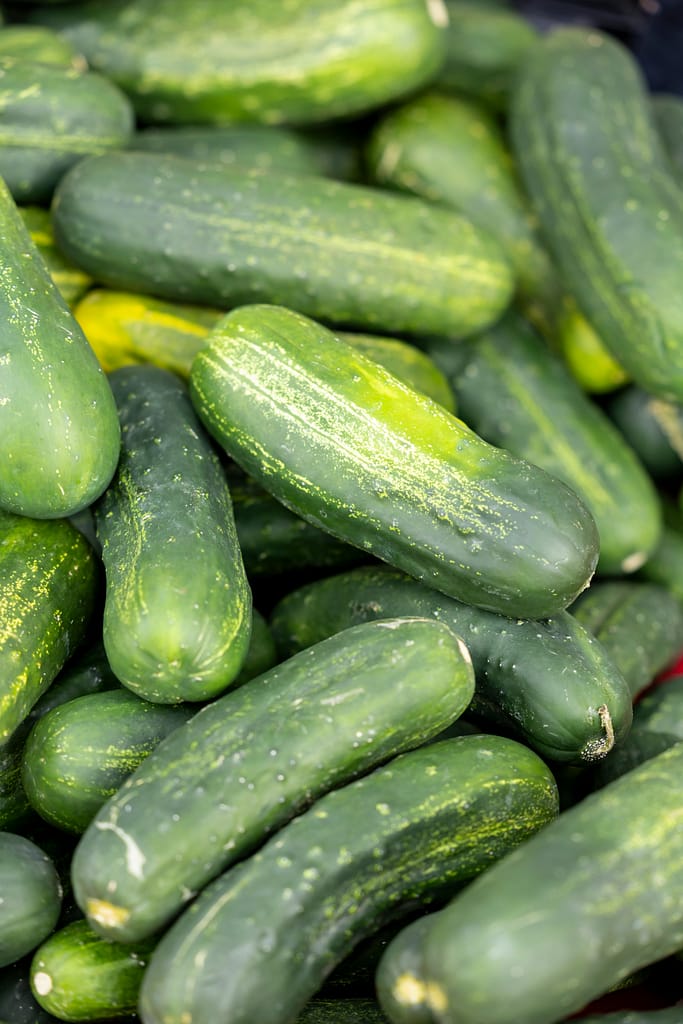 farmers cucumbers