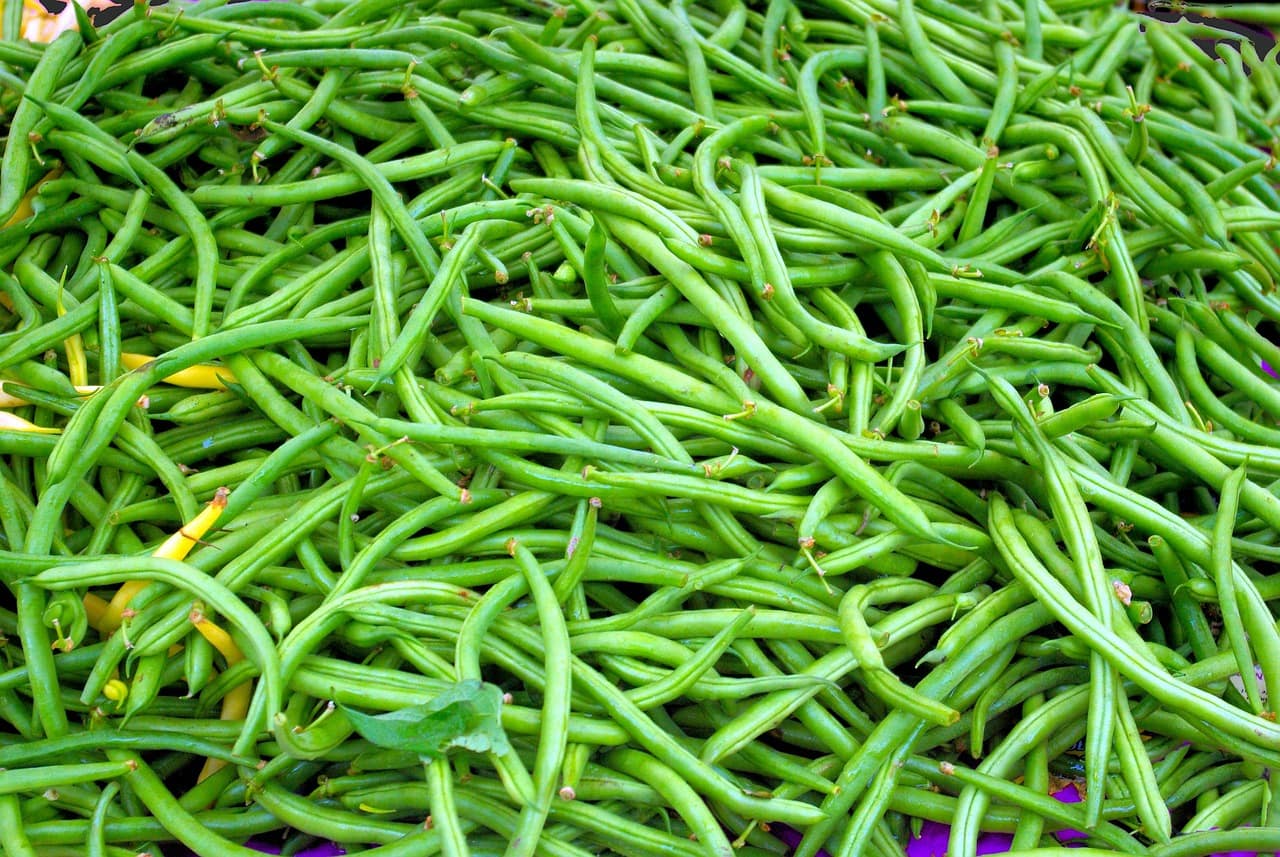 fresh green beans