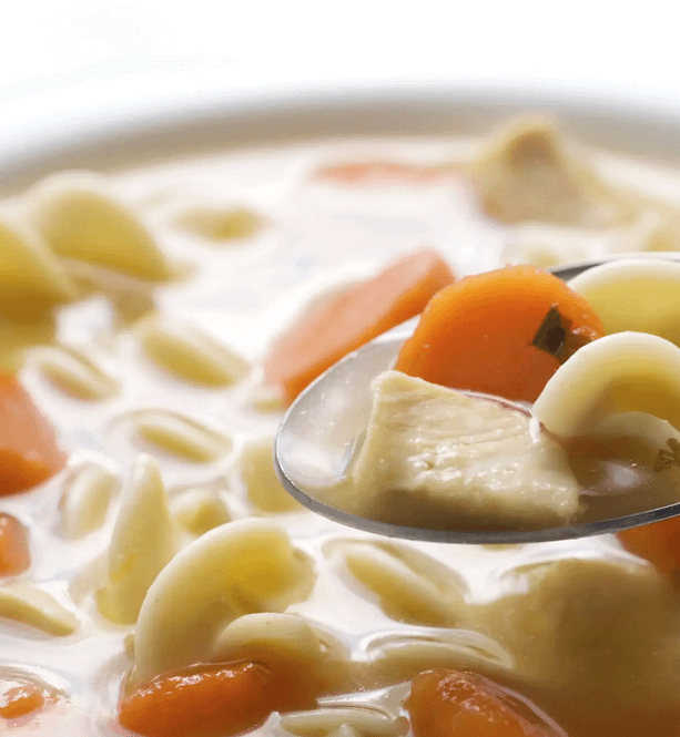 chicken noodle soup