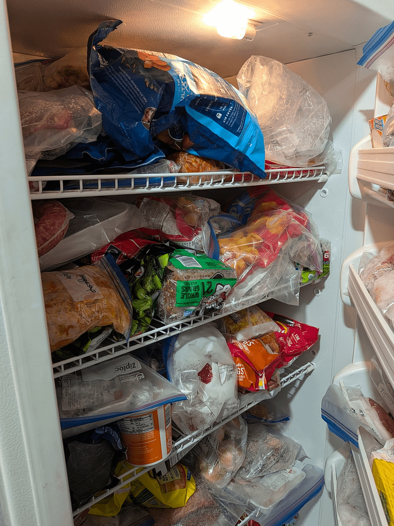 basement freezer filled with food