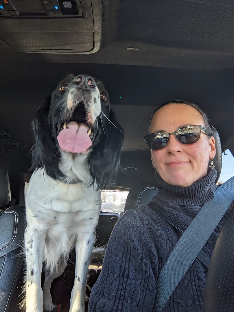 Moose and Mama taking a car ride